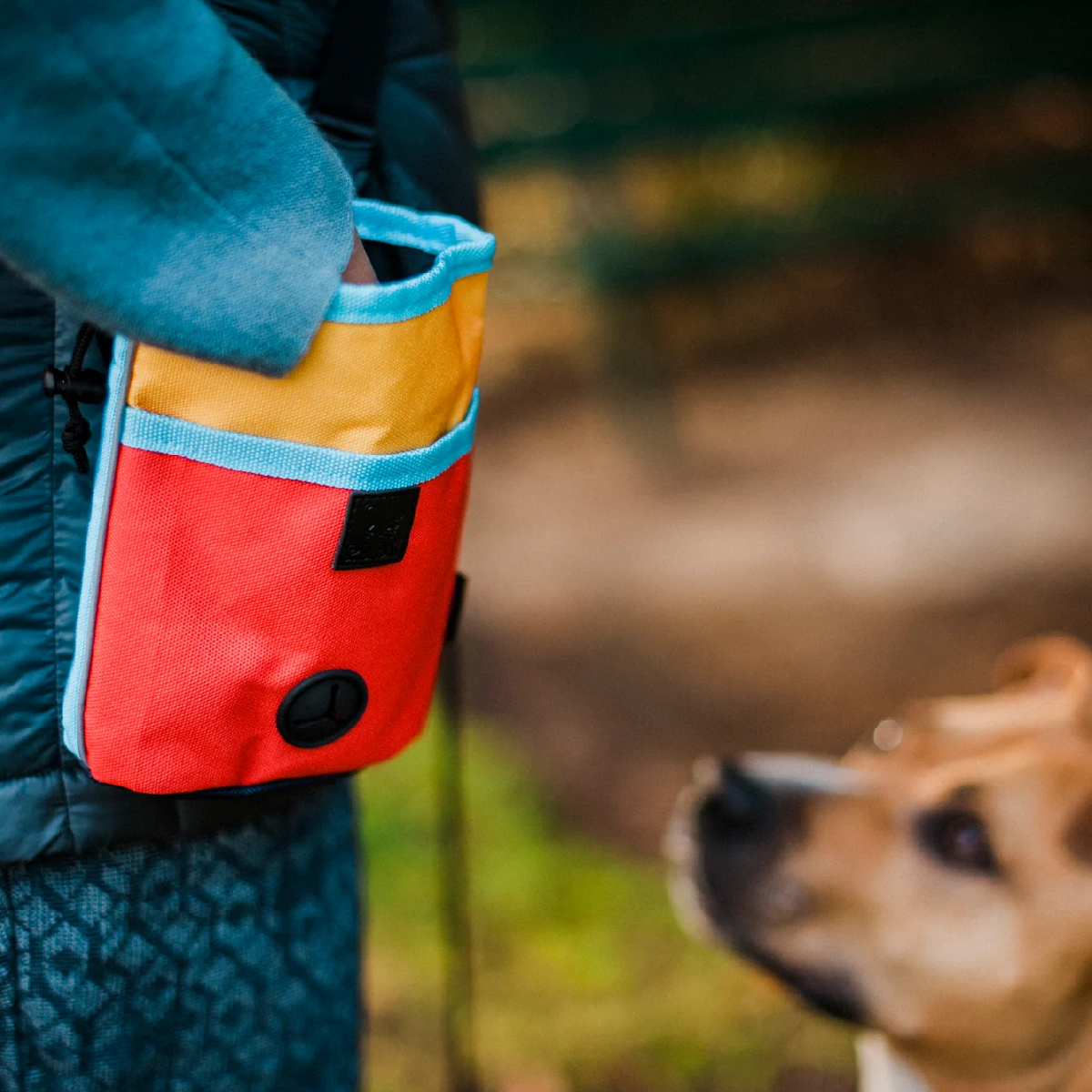 Bolsa de comida para entrenamiento