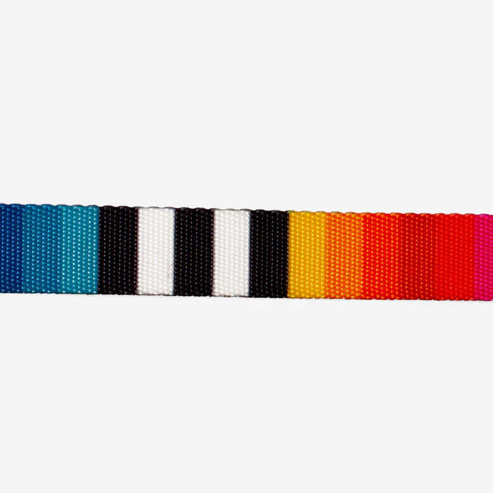 Collar Prisma Color