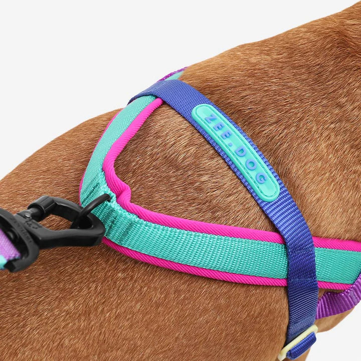 Arnés suave para caminata Shockwave