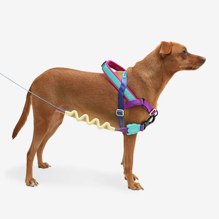Arnés suave para caminata Shockwave