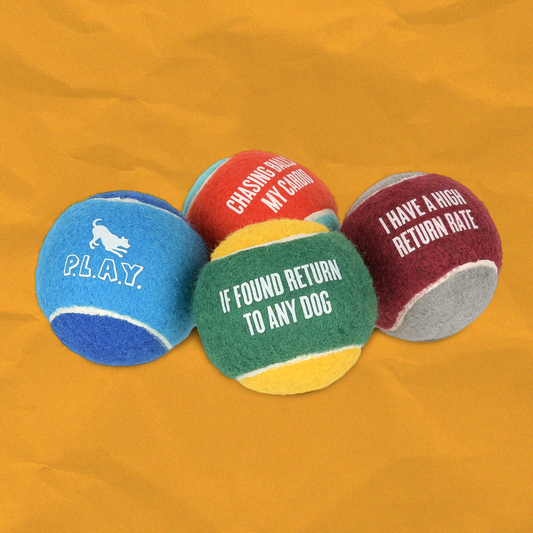 Bolas de tennis (paquete de 4)
